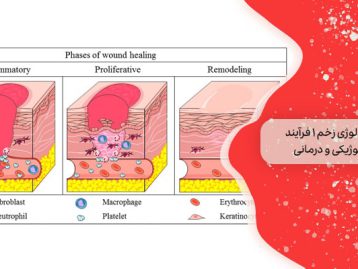 فیزیولوژی زخم 1 فرآیند بیولوژیکی و درمانی