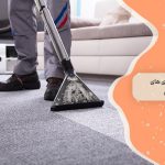 باکتری ‌های داخل فرش معرفی 4 نوع باکتری