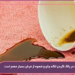 3 روش‌ مؤثر و کاربردی برای پاک کردن لکه چای و قهوه از فرش