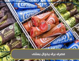 مصرف برق یخچال بستنی